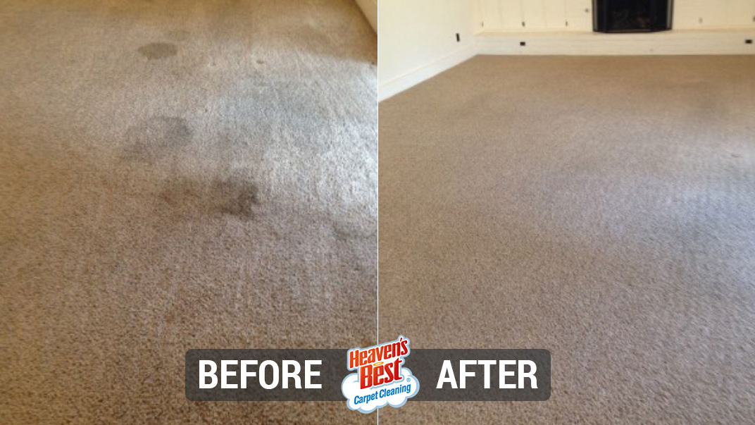 Heaven's Best Carpet Cleaning of Cody